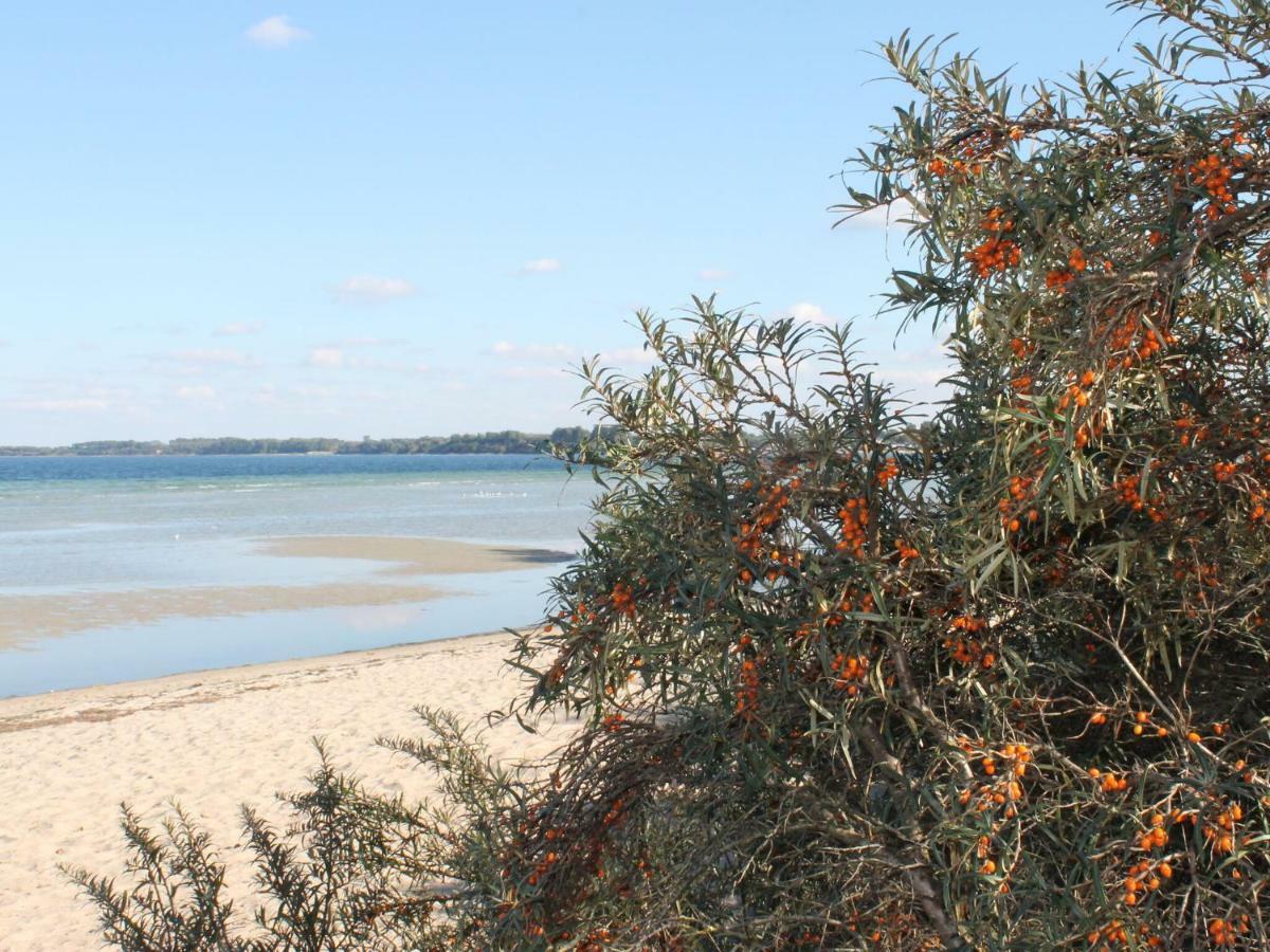 Lovely Bungalow Near Sea In Elmenhorst Kalkhorst 外观 照片